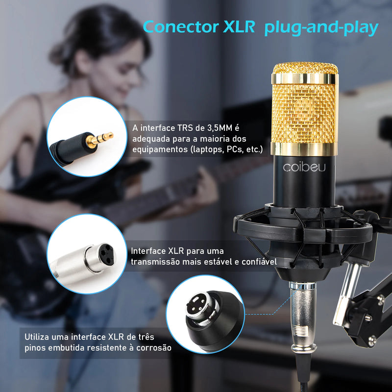 Microfone Condensador, Kit Microfone Condensador com Placa de Som e Braço Articulado e Pop Filter para Transmissão Ao Vivo
